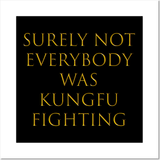 surely not everybody was kung fu fighting Posters and Art